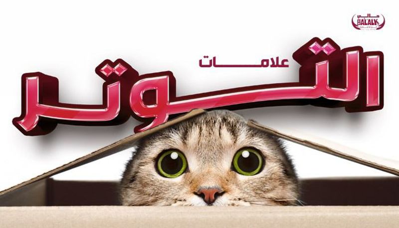 التعرف على علامات التوتر لدى القطط: ما يجب أن يعرفه كل مربي القطط